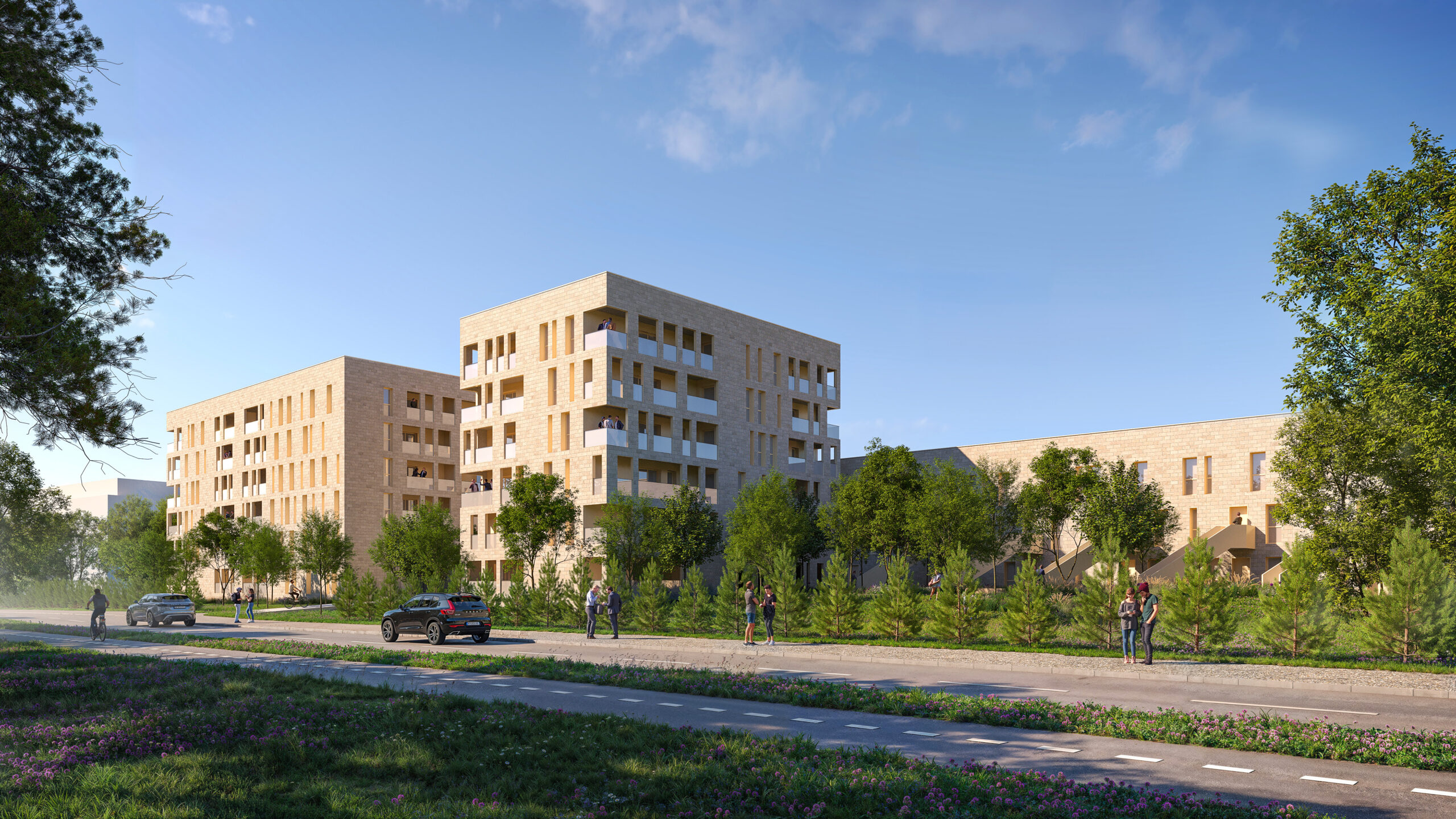 24097C_250417_LS_C0020