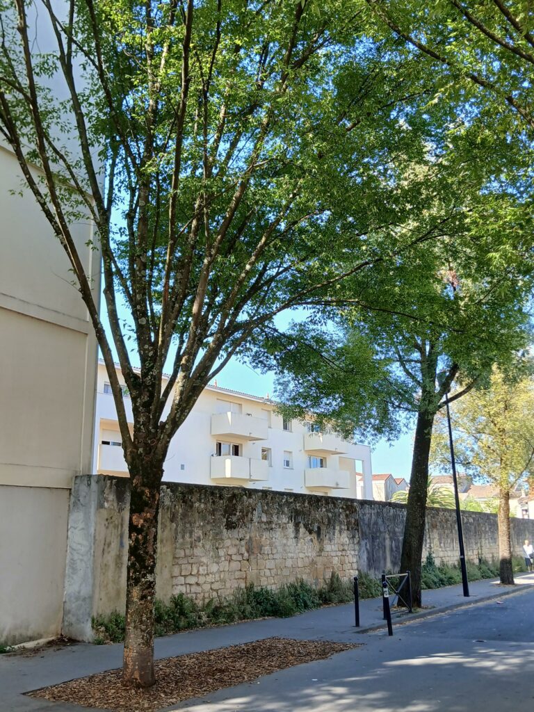 IMPASSE VUE BAT B