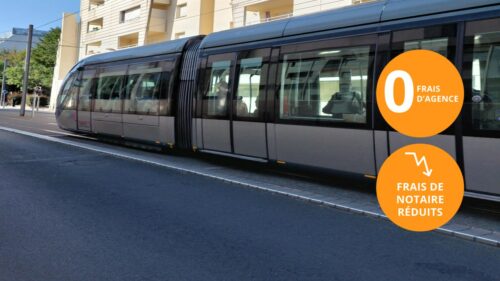 TRAM VISUEL PALISSY 205