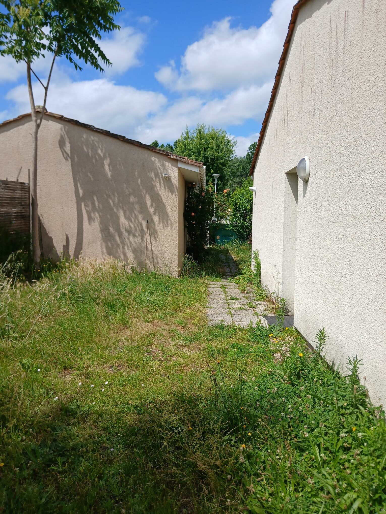 20260608_154405