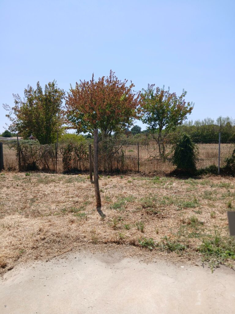 jardin arriere